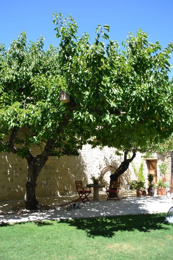 Holidays In Lagrasse Exterior foto
