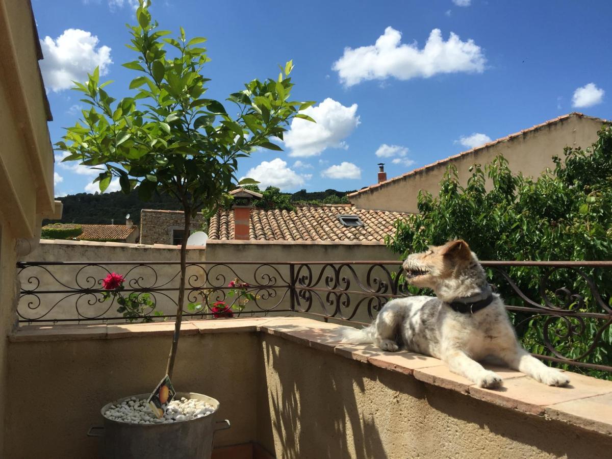 Holidays In Lagrasse Exterior foto