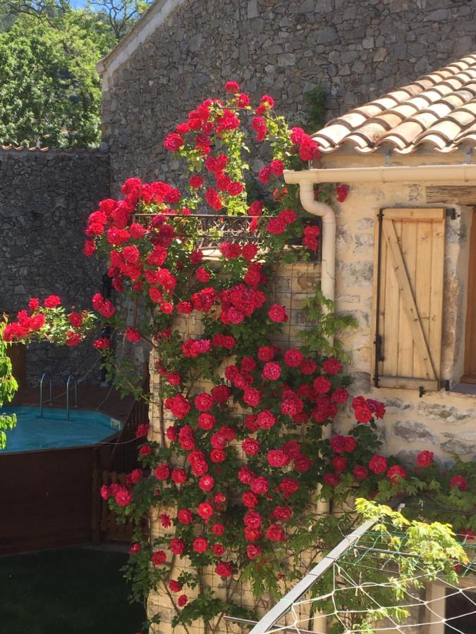 Holidays In Lagrasse Exterior foto